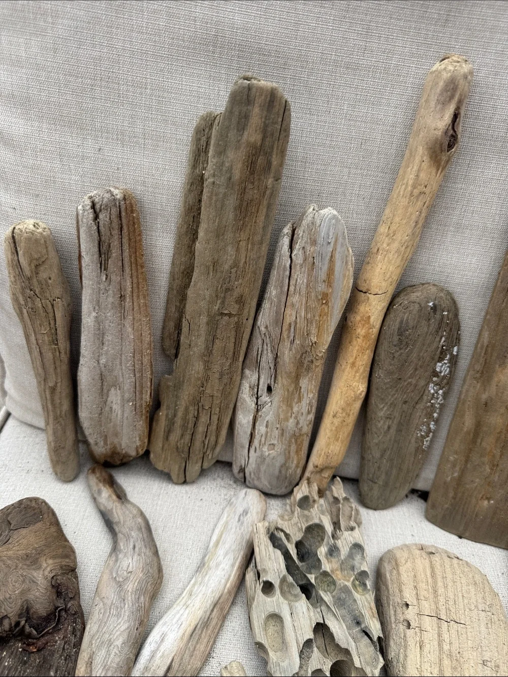 43 pc for (5 lbs shipped) Box of Natural Driftwood Pieces Decor Crafts Projects